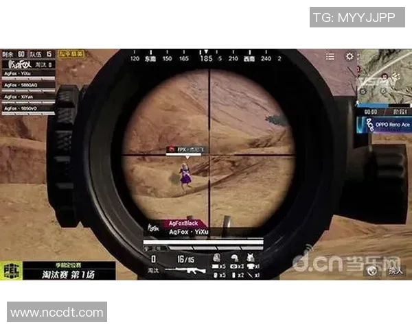 和平精英热点分析：深入探讨FPX战队的战术控制与团队配合