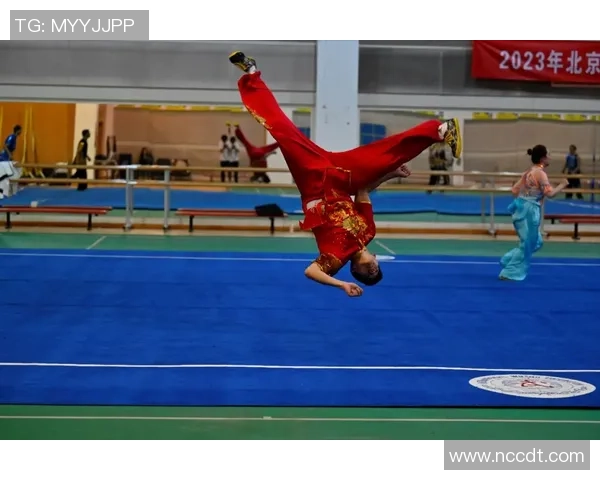 南京飞盘队在世界攀岩锦标赛中的拼搏与荣耀之路